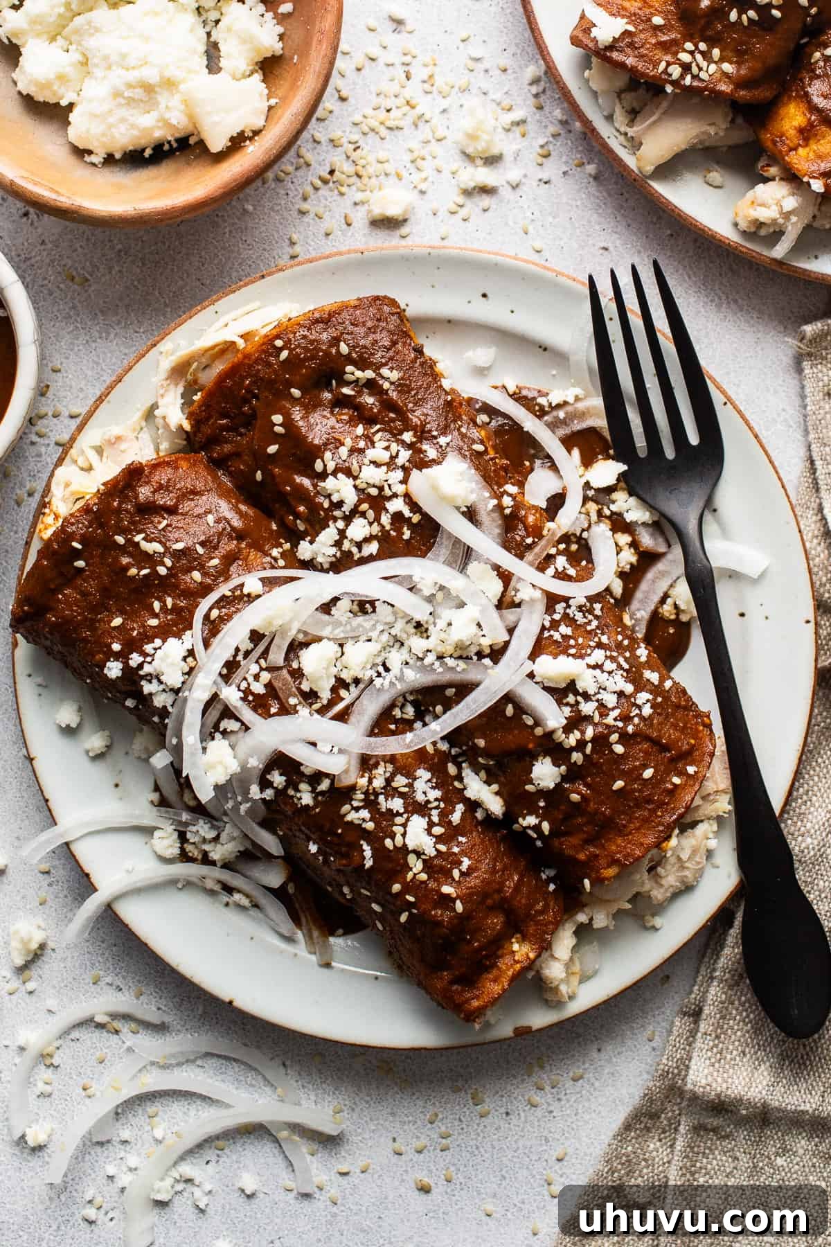Mexican Mole Bliss 9 Enmoladas (Chicken Mole Enchiladas) on a plate topped with sesame seeds, queso fresco, and sliced white onions.
