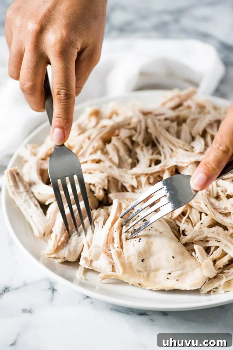 Smoky Chipotle Chicken Tinga 4 Perfectly shredded chicken breast resting on a plate, ready to be incorporated into the smoky tinga sauce.