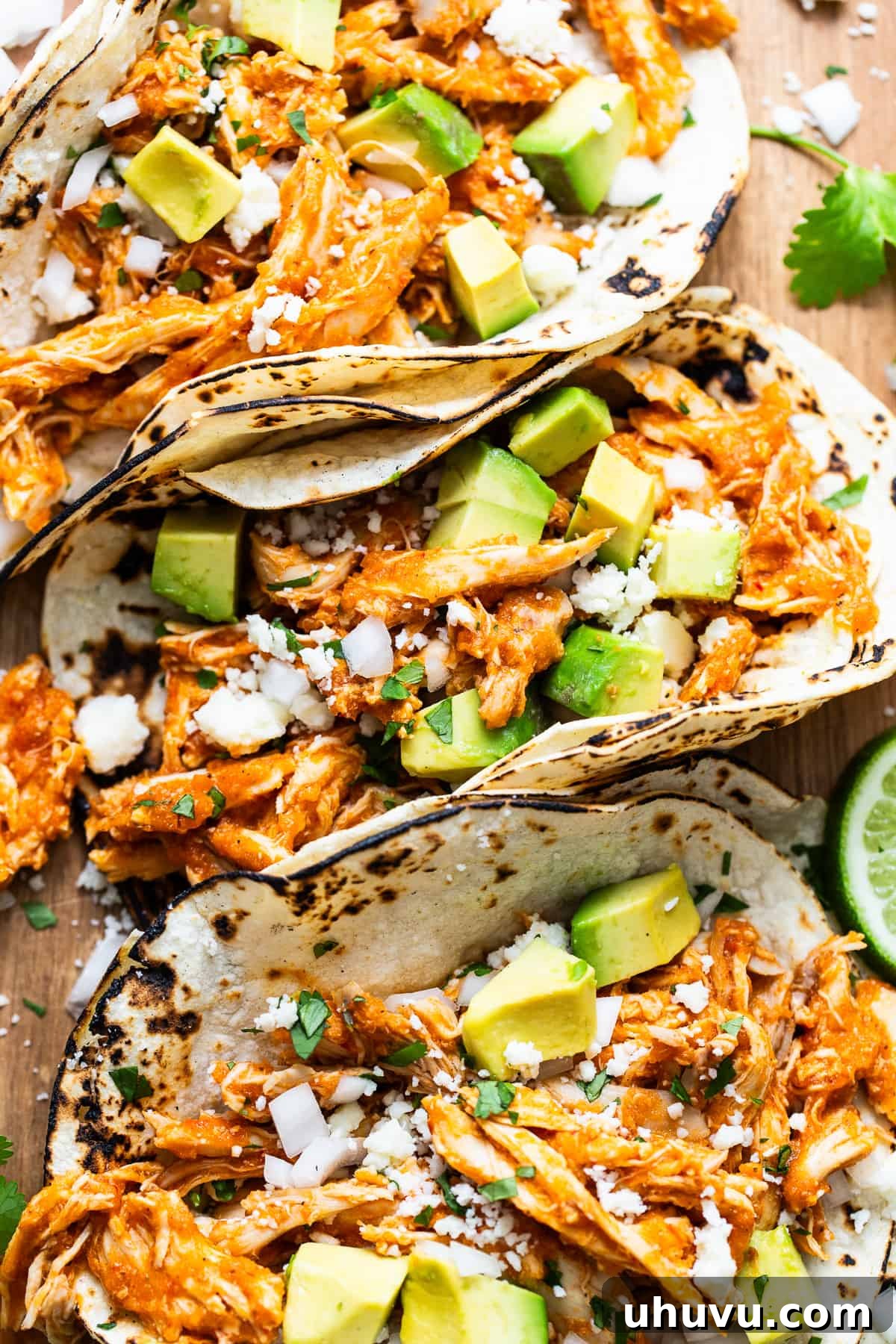 Smoky Chipotle Chicken Tinga 8 Exquisite Chicken Tinga tacos, beautifully arranged and generously topped with crumbled queso fresco, finely diced white onion, fresh chopped cilantro, and creamy avocado slices, highlighting a perfect blend of colors and textures.
