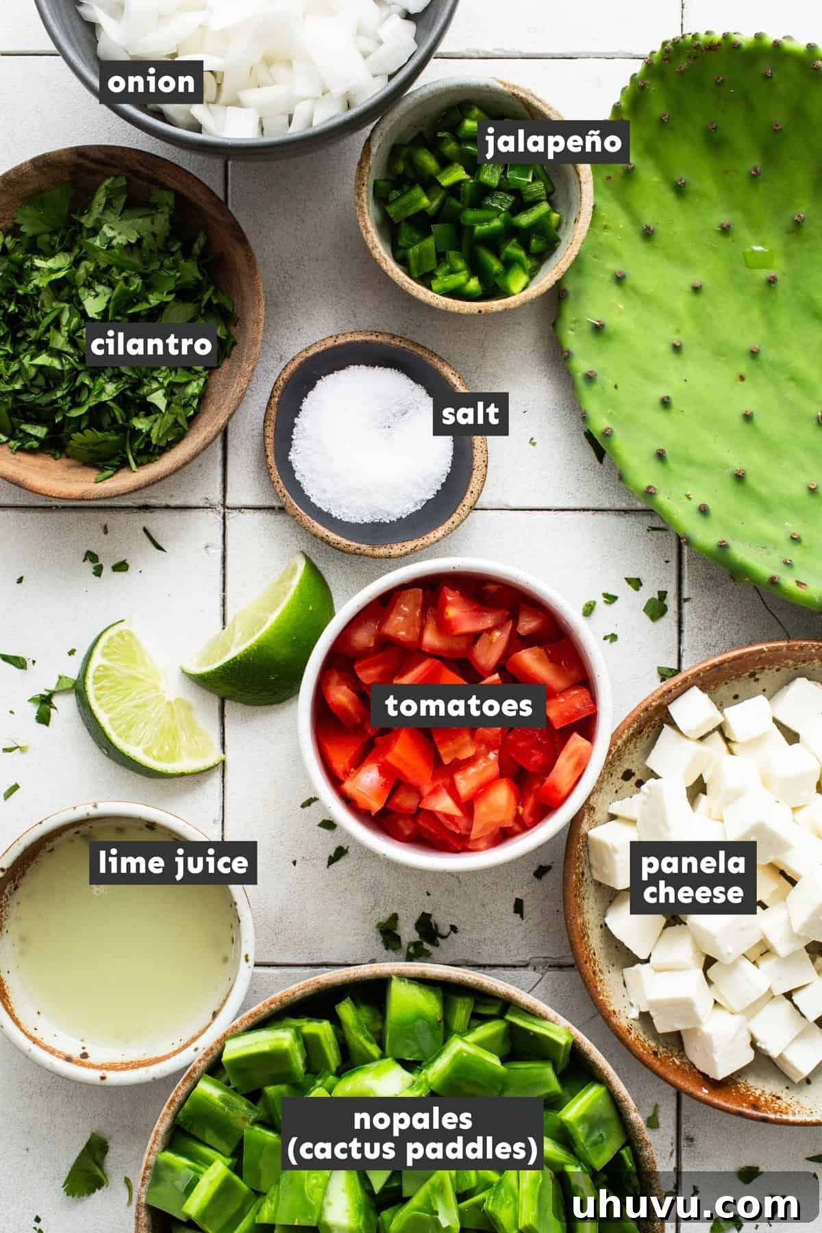 Fresh Nopal Fiesta 3 Ingredients for Ensalada de Nopales laid out on a table, including fresh cactus, tomatoes, onions, cilantro, lime, and cheese.
