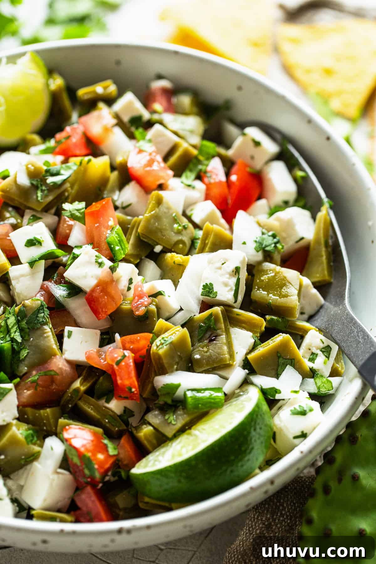 Fresh Nopal Fiesta 6 A bowl with all ingredients for Ensalada de Nopales mixed together and covered, ready to marinate in the refrigerator.