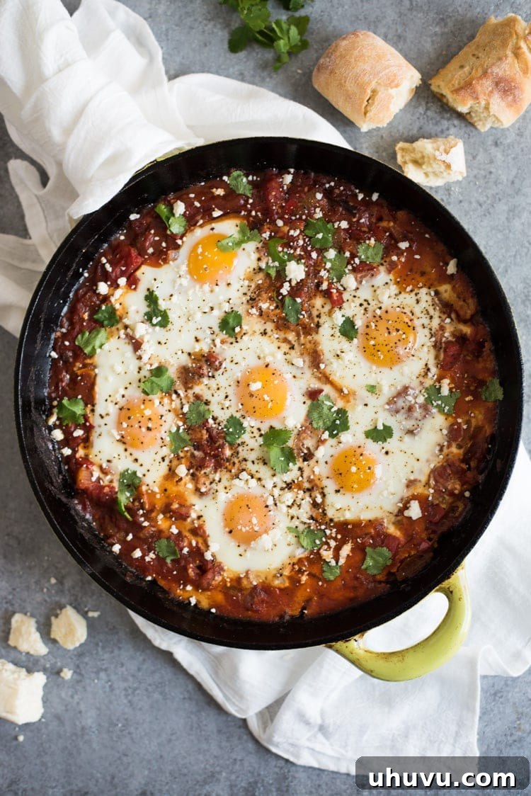 A bubbling Shakshuka recipe beautifully presented in a rustic cast iron skillet, garnished generously with fresh cilantro and crumbled cotija cheese, ready to be enjoyed.