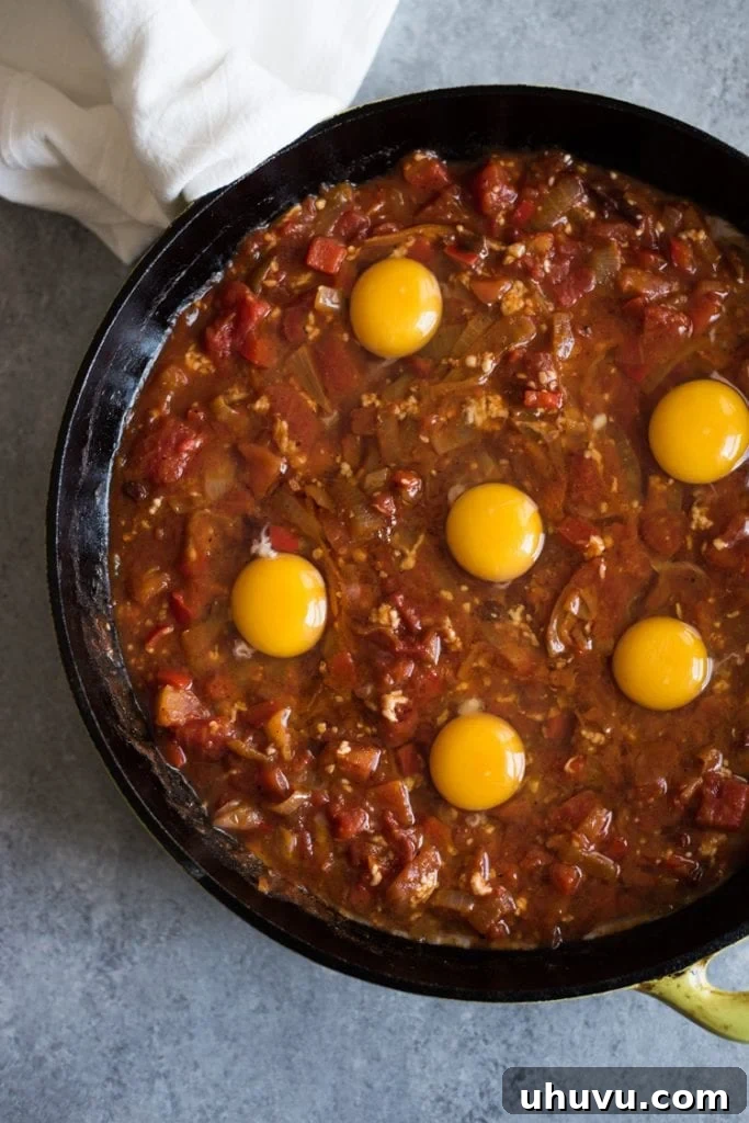 The final stage of preparation for shakshuka, with six eggs gently cracked into the simmering tomato sauce, perfectly positioned for baking.
