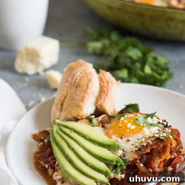A tempting image of shakshuka served on a plate with avocado slices and a side of fresh crusty bread, inviting you to try this delicious dish.