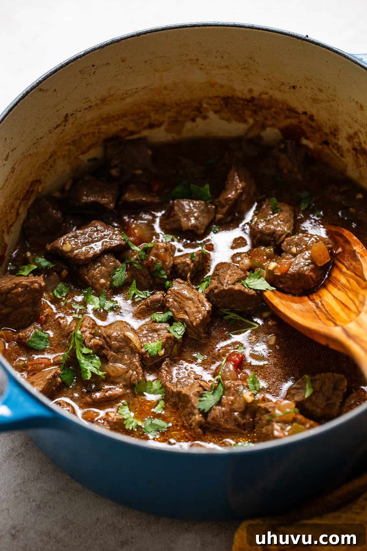 Slow-Simmered Beef Perfection 7 A pot of finished Carne Guisada, garnished with fresh chopped cilantro, ready to be served as a comforting and hearty Mexican meal.