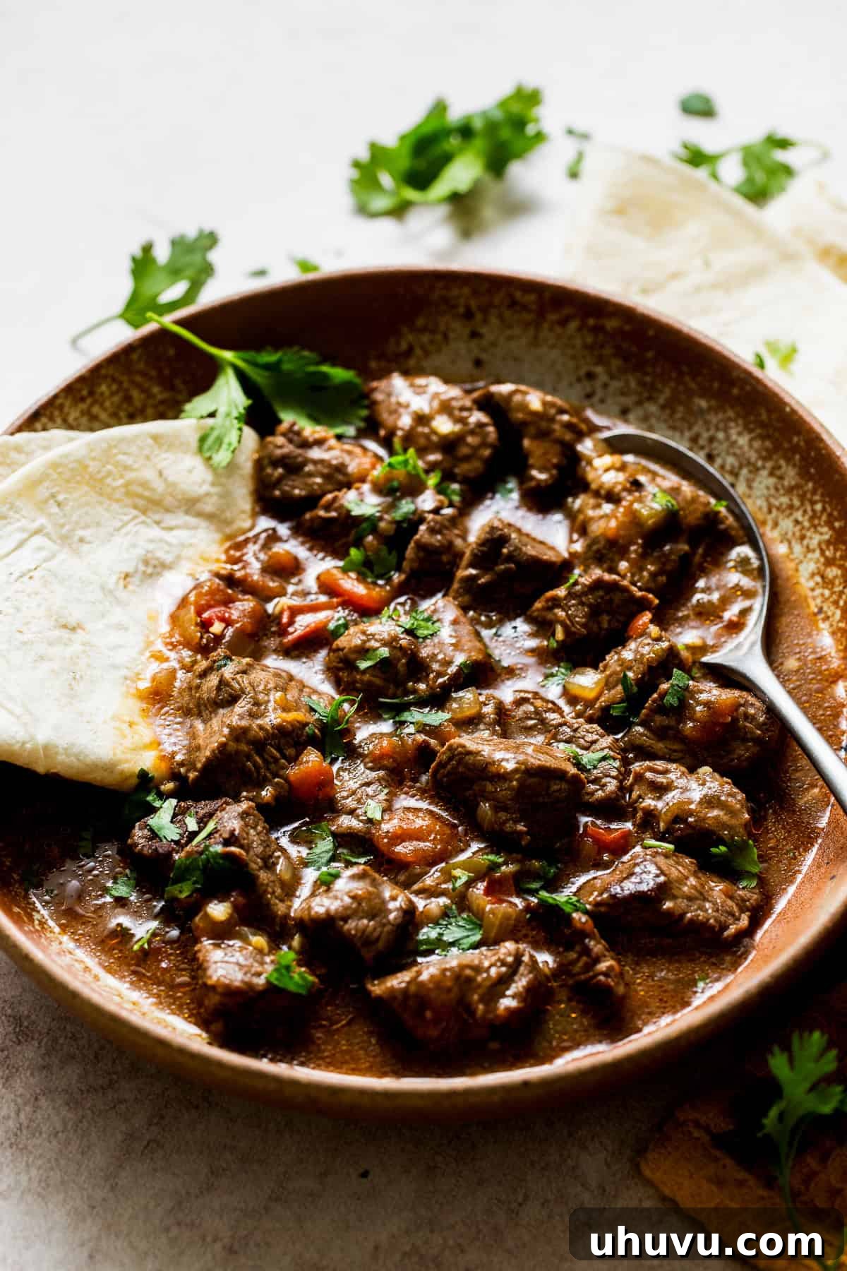 Slow-Simmered Beef Perfection 8 A serving of Carne Guisada on a plate, accompanied by a warm flour tortilla, inviting diners to enjoy a hearty Mexican meal.