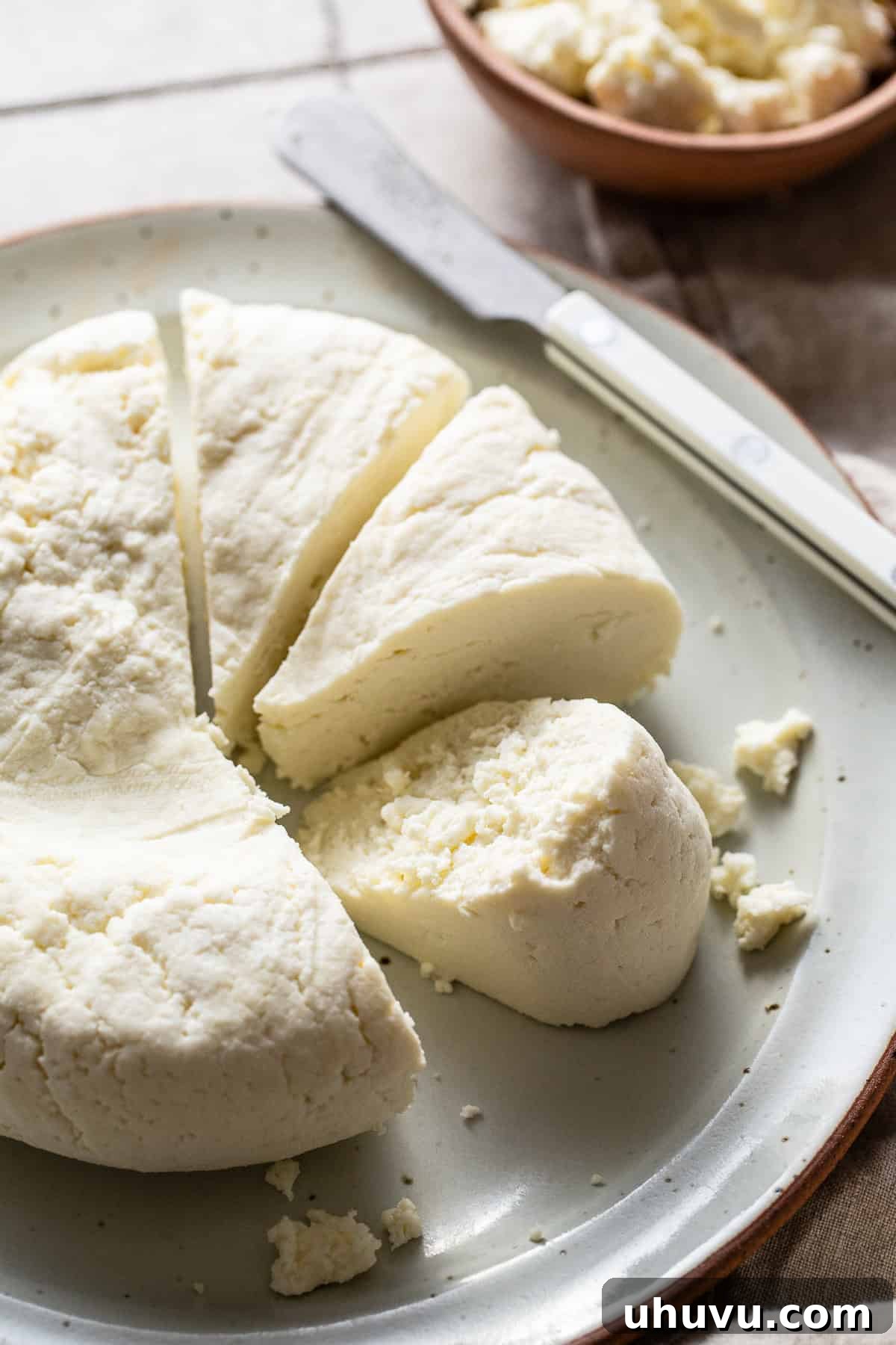Make Your Own Queso Fresco 9 Beautifully arranged wedges of fresh queso fresco on a plate, ready to be eaten or incorporated into a meal.