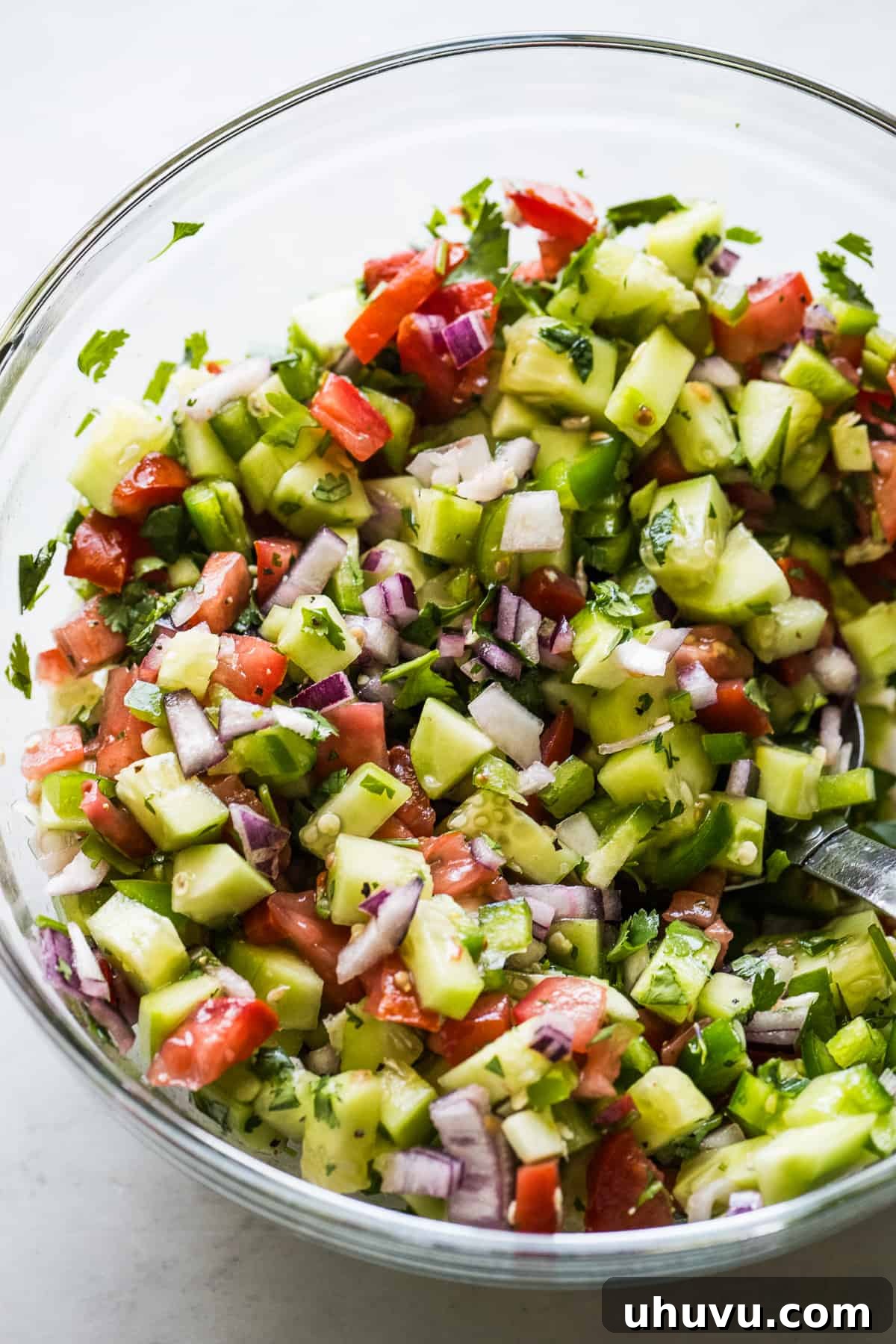 Zesty Cucumber Salsa 5 A glass bowl filled with cucumber salsa ready to be served, garnished with fresh cilantro.