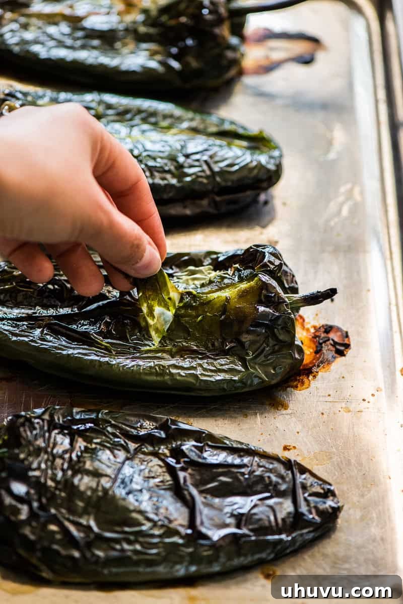 Roasted poblano peppers on a baking sheet, with visible charring, ready for peeling and deseeding.