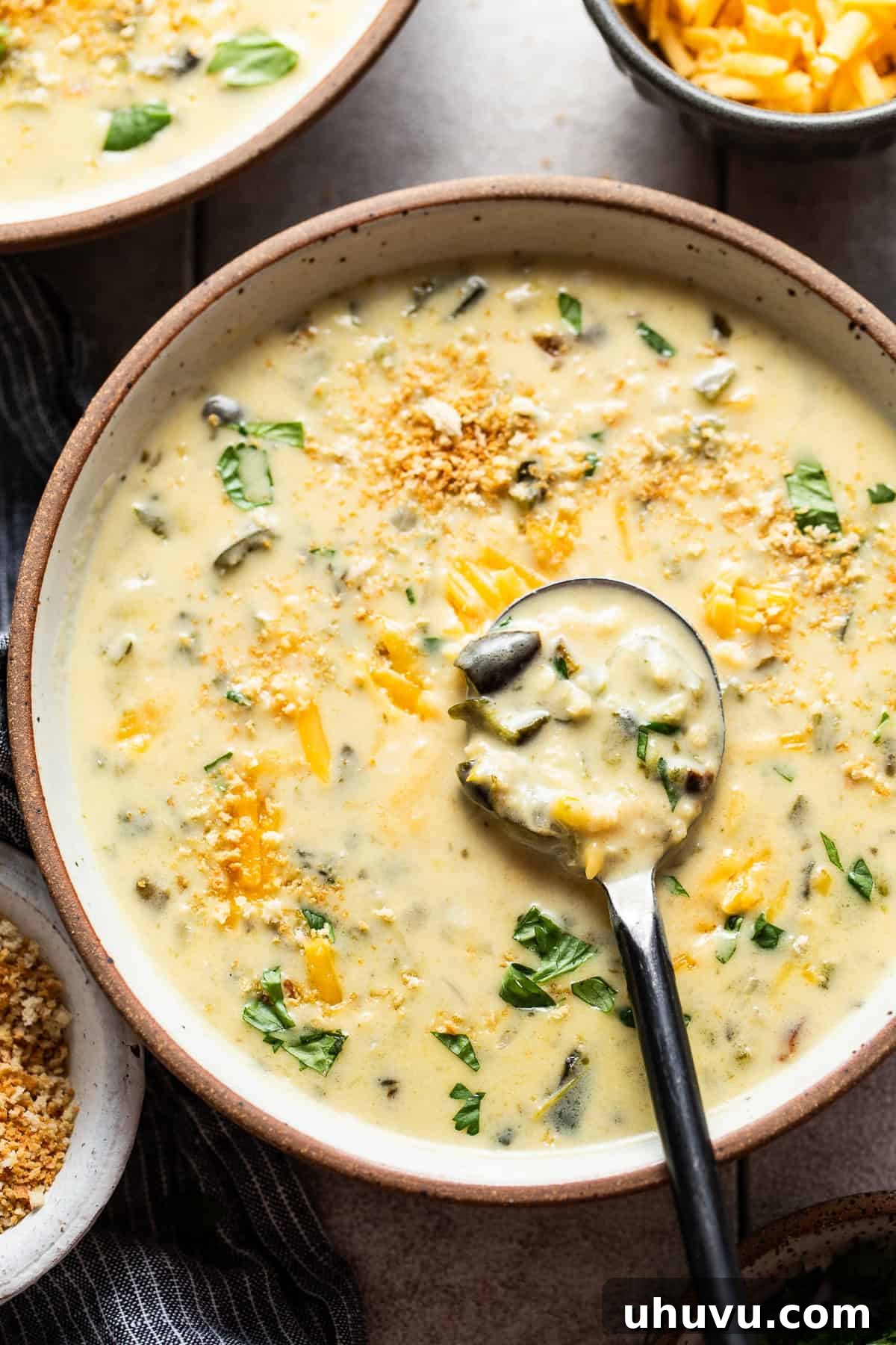 A beautifully presented bowl of creamy chile relleno soup, garnished with fresh herbs and cheese, ready to be enjoyed.