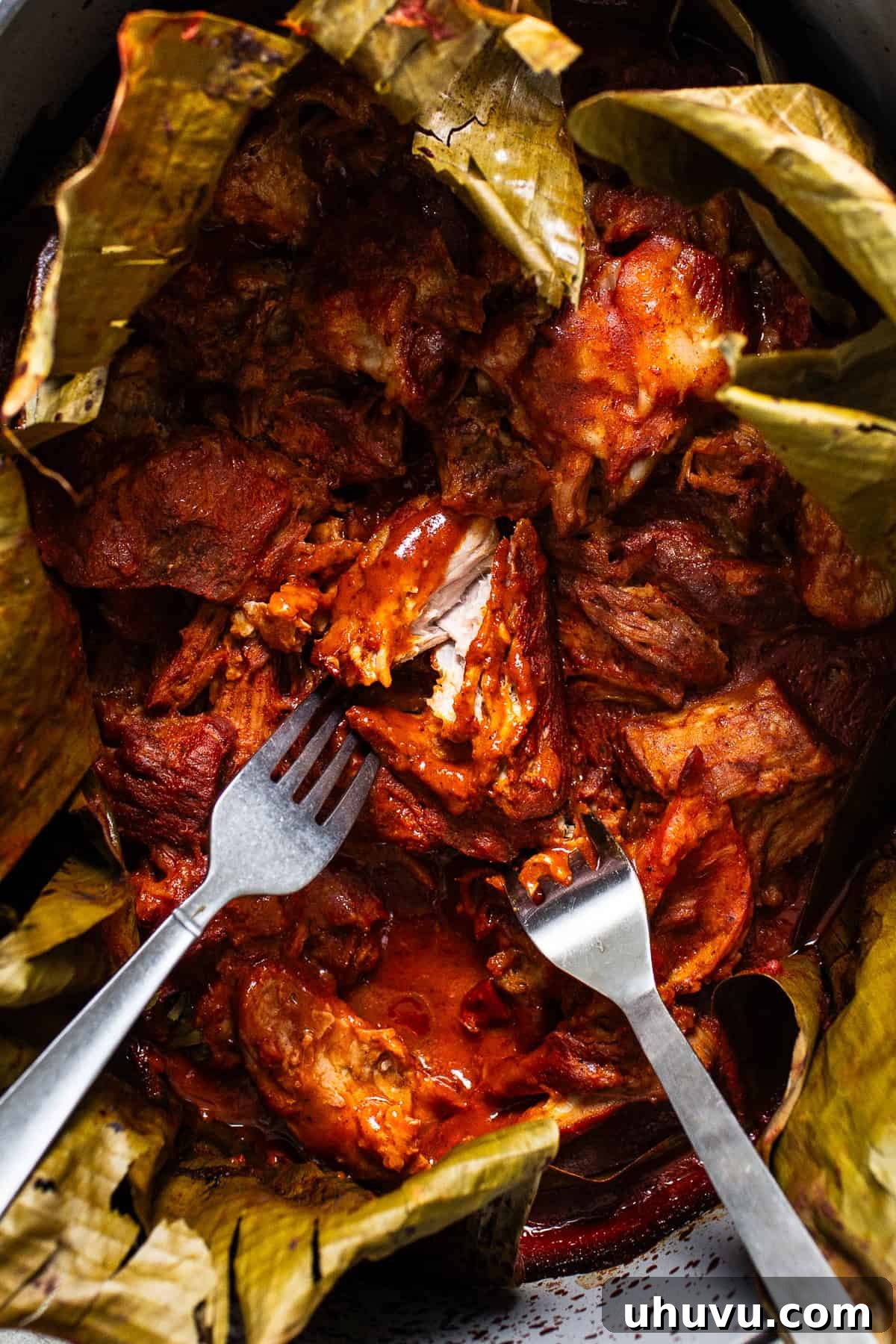 Yucatan's Achiote Slow Roast Pork 7 Perfectly slow-cooked cochinita pibil being shredded with two forks, showcasing its incredible tenderness and juicy texture.