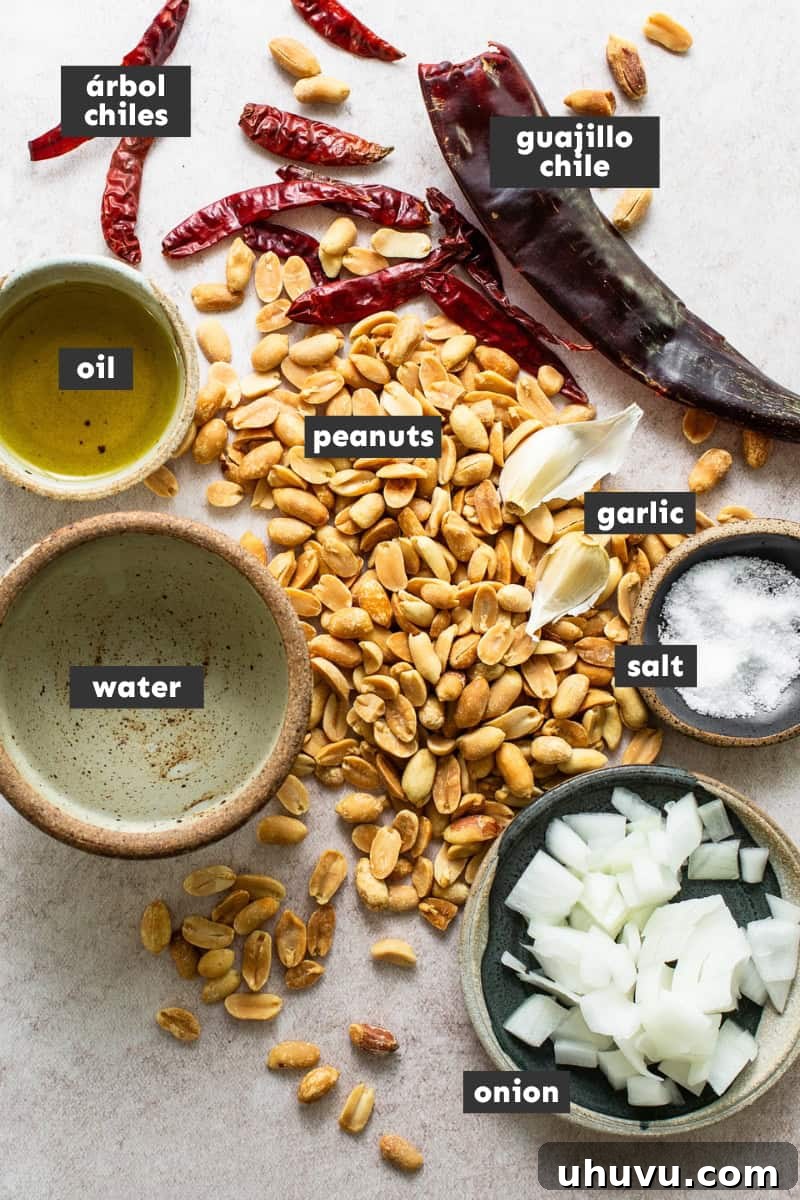 Creamy Peanut Salsa 3 All the fresh and dried ingredients laid out on a table for making Salsa de Cacahuate.
