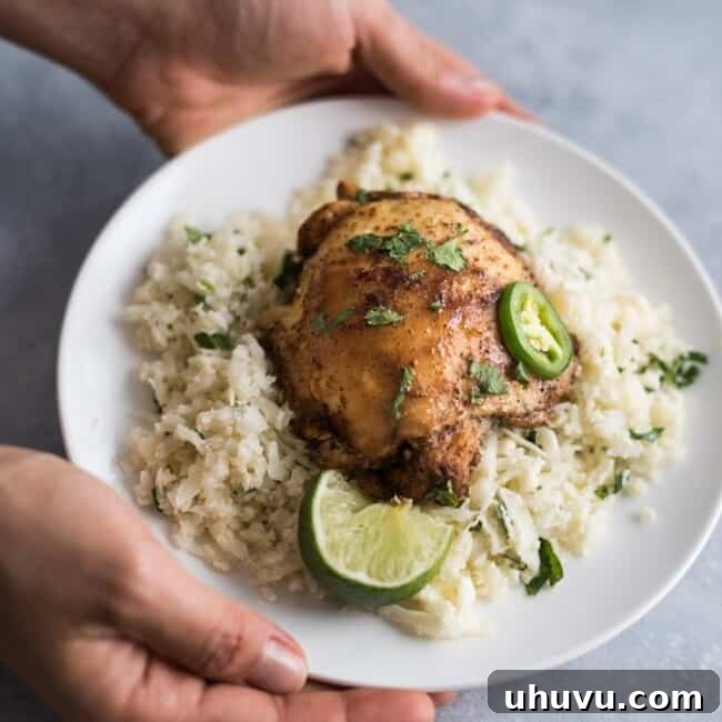 Quick & Flavorful Baked Mexican Chicken 6 Easy Baked Mexican Chicken