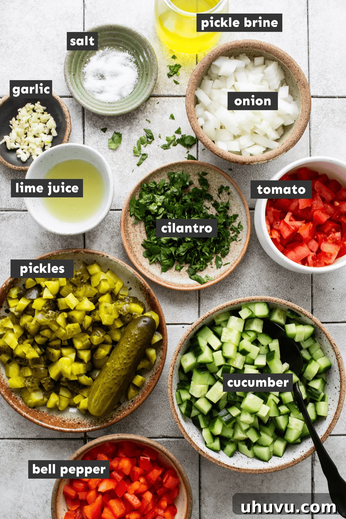 Briny Salsa 4 A selection of fresh ingredients laid out on a table, including dill pickles, cucumbers, tomatoes, bell peppers, onions, and cilantro, all ready for making pickle de gallo.