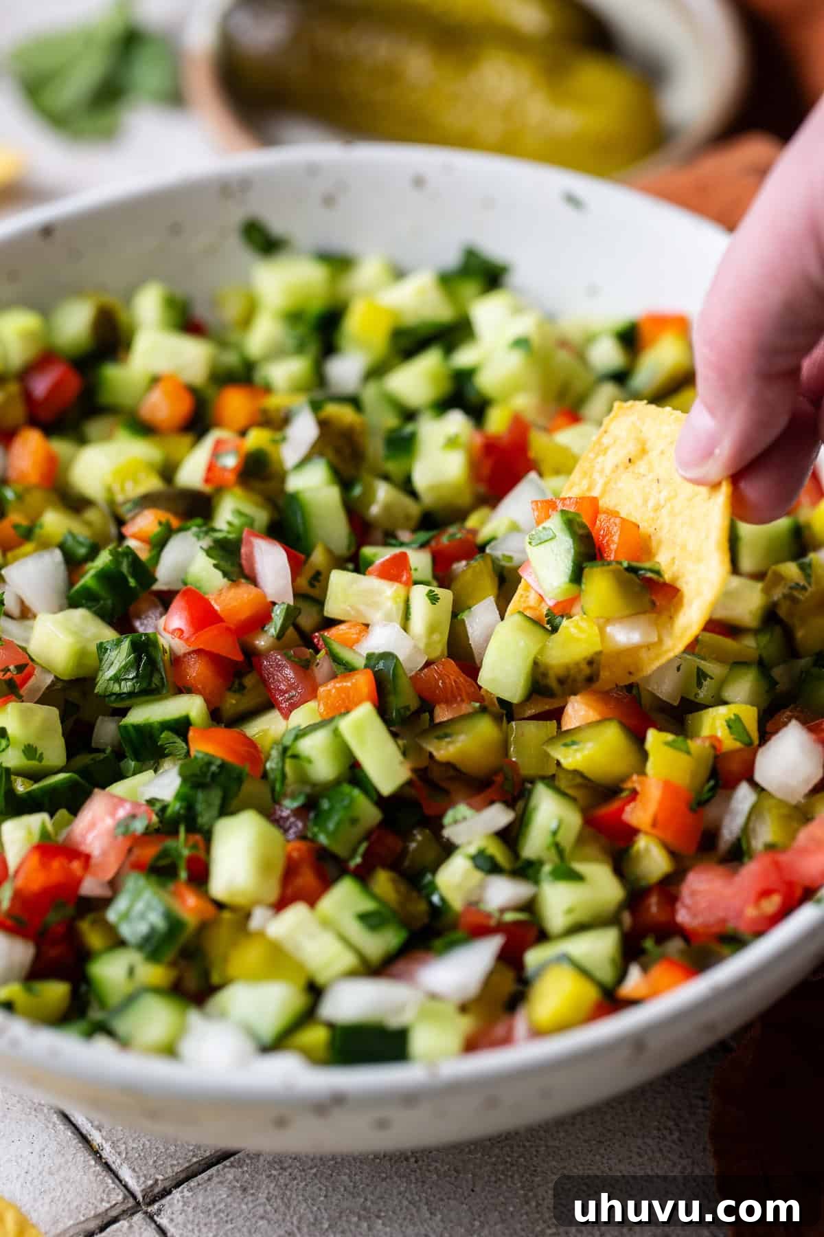 Briny Salsa 6 A crispy tortilla chip being dipped into a bowl of fresh pickle de gallo, showcasing its chunky texture and vibrant colors.
