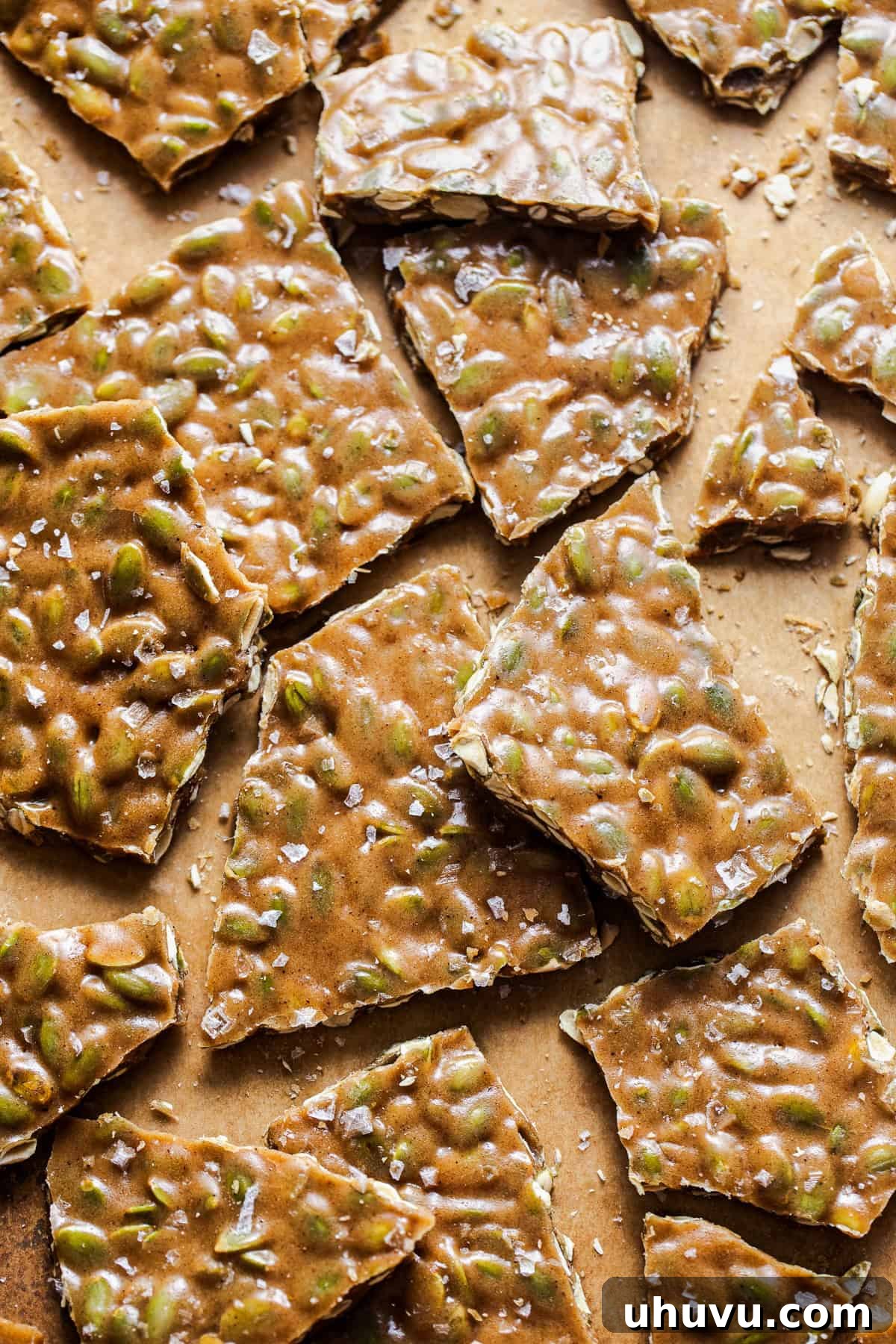 Crispy Pumpkin Seed Brittle 7 Beautifully cracked pieces of pumpkin seed brittle, glistening and topped with delicate flaky sea salt, showcased in a close-up shot.
