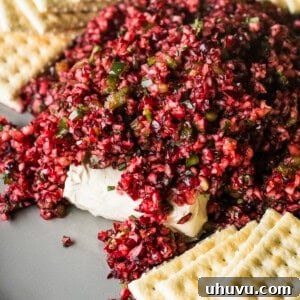 Cranberry salsa on a serving plate on top of a block of cream cheese with some crackers on the side.