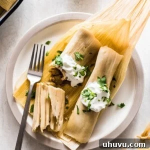 Flavorful Chicken Tamales made with an easy masa dough and stuffed with tender pieces of chicken in a vibrant green chile verde sauce, perfect for a crowd.