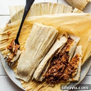 Rich and savory Tamales de Mole, beautifully arranged on a plate.