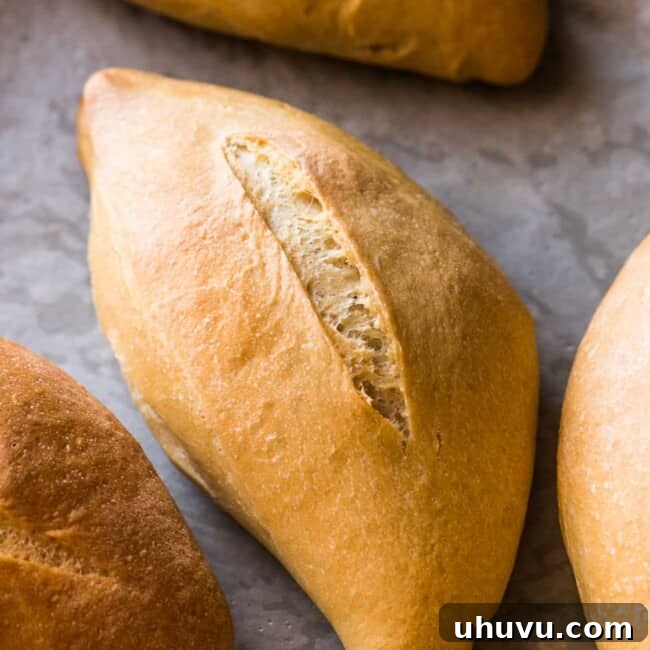 Baked bolillo with a golden brown crust on a baking sheet ready to eat.