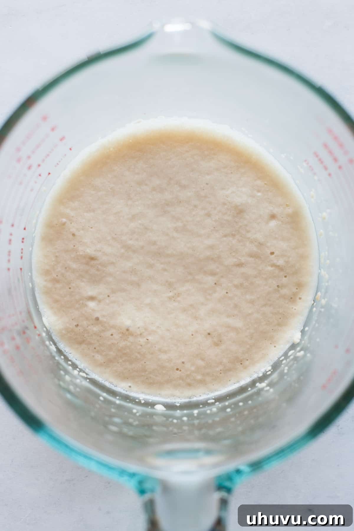 Mexican Bolillo Rolls 4 Yeast blooming in a cup for bolillo bread recipe.