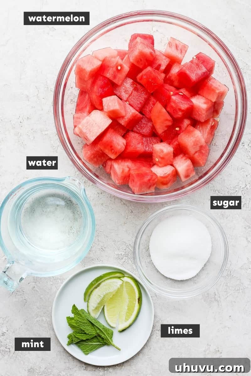 Cool Watermelon Refreshment 3 Watermelon Agua Fresca Ingredients on a table