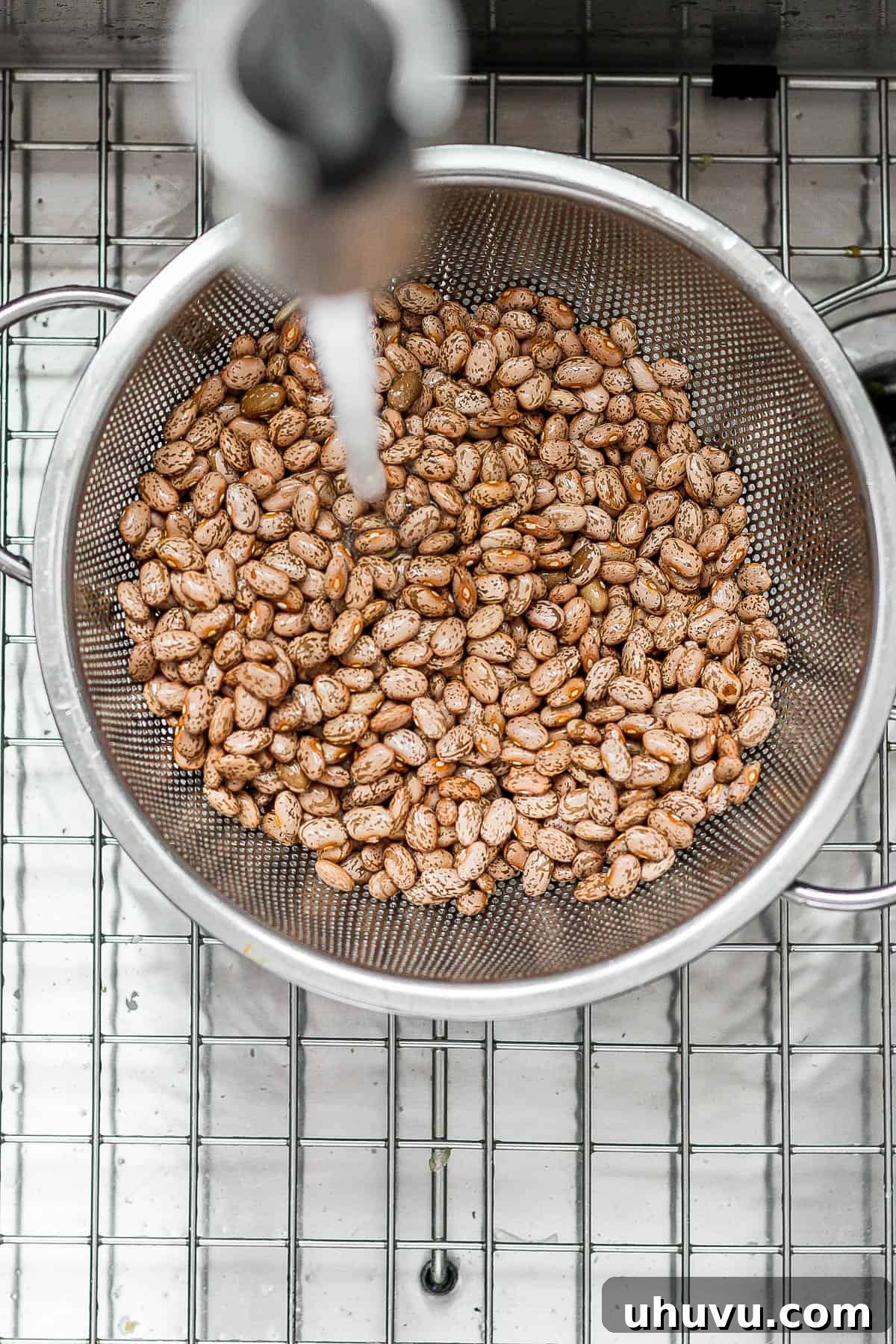 Velvety Frijoles 4 Dry pinto beans in a colander being washed and cleaned.
