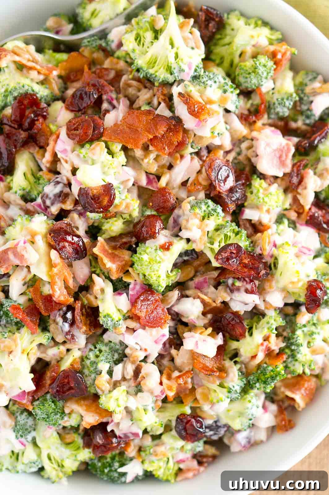 Crunchy Broccoli Delight 3 broccoli salad with bacon and craisins