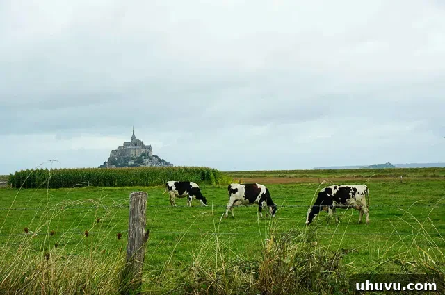 Panoramic view of Mont St. Michel