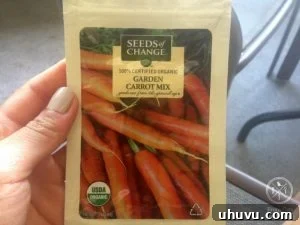 Thriving Carrot Seedlings from Seeds of Change Garden Mix