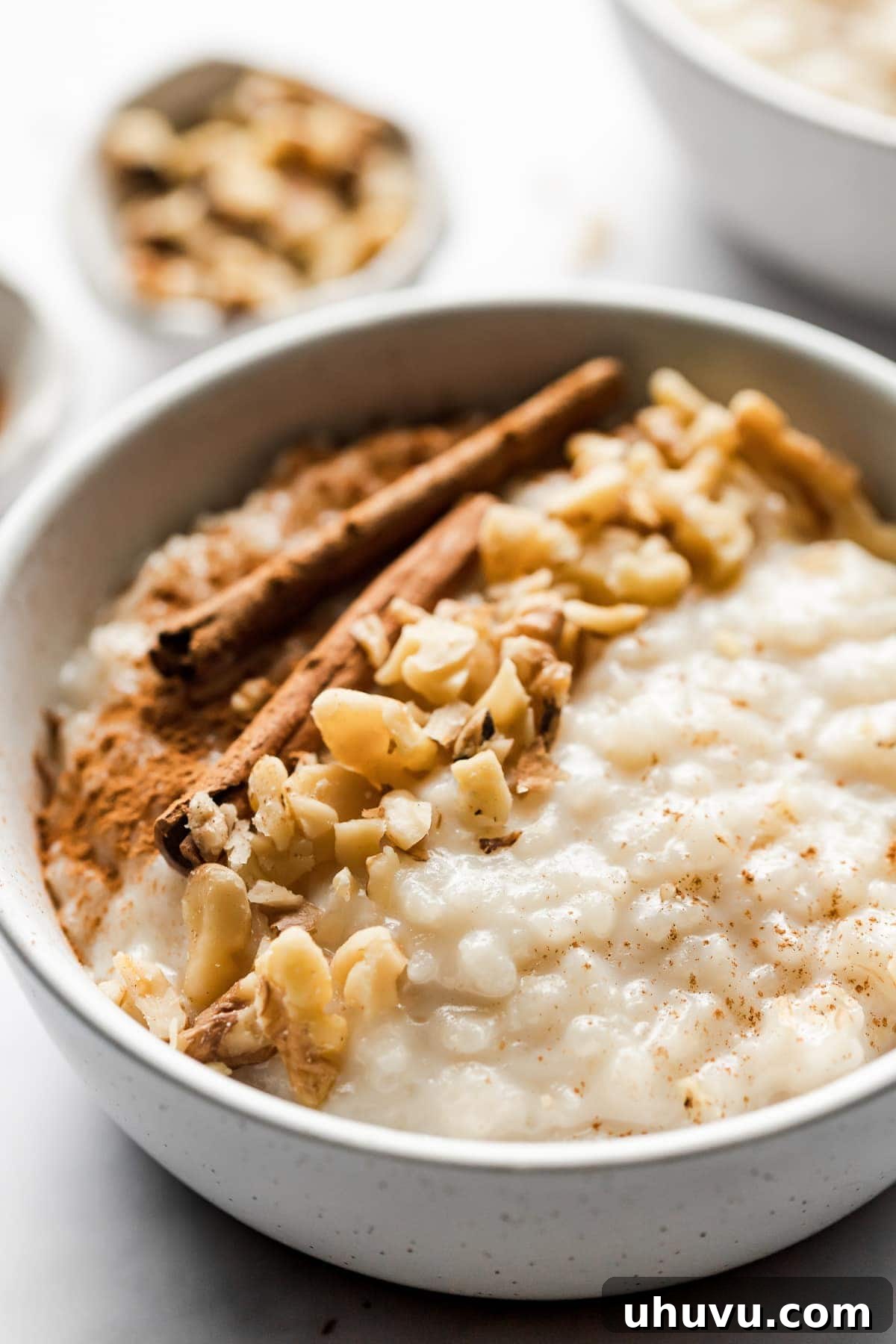 Velvet Rice Bliss 4 Arroz con Leche (or Mexican rice pudding) is a comforting and simple no-fuss dessert that's guaranteed to satisfy any sweet tooth.