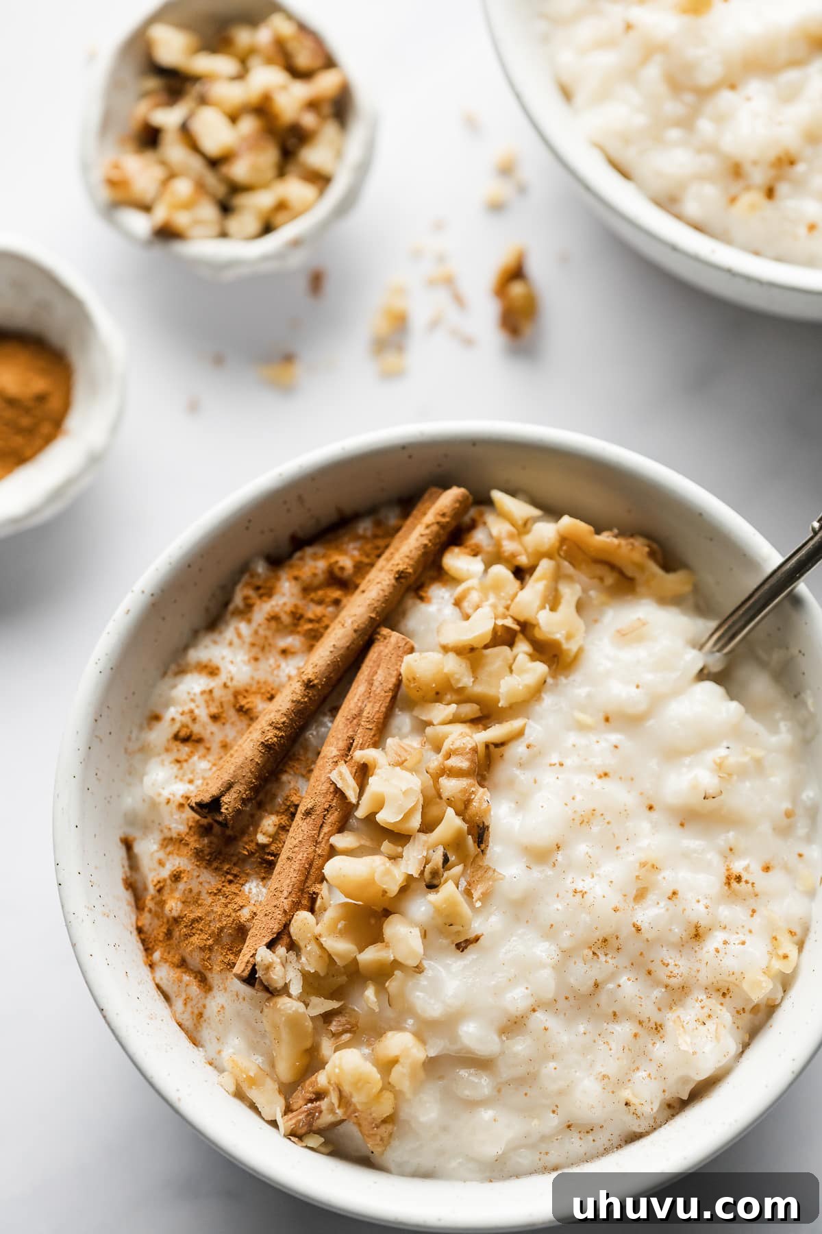 Velvet Rice Bliss 5 Arroz con leche in a bowl topped with chopped nuts and cinnamon.