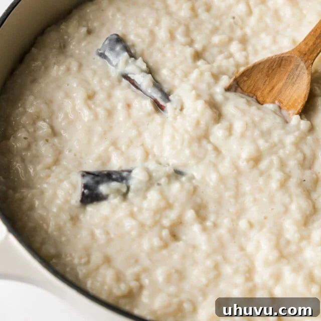 Arroz con Leche (Mexican rice pudding) in a pot ready to be eaten.