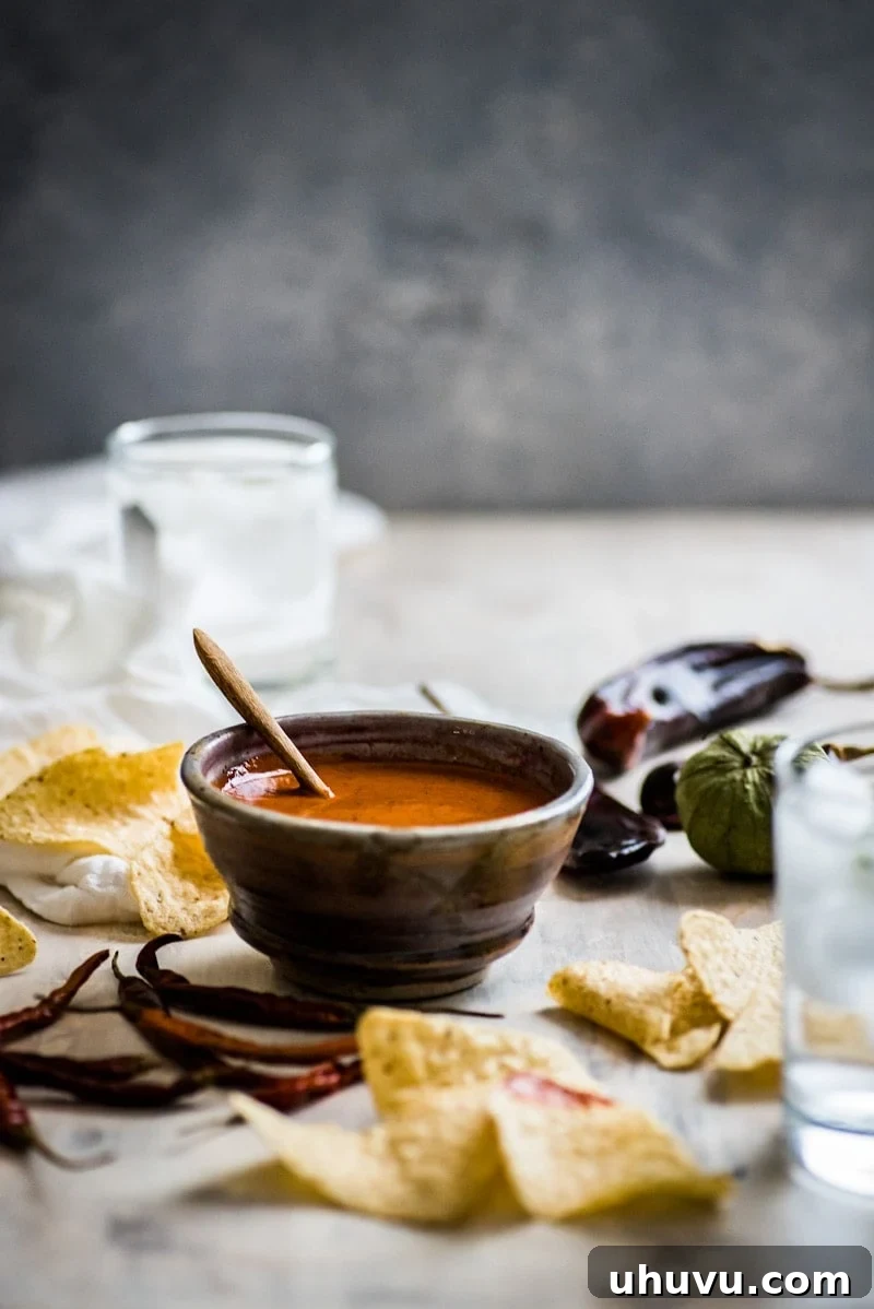 Fire-Roasted Red Chile Salsa 7 A bowl of vibrant Toasted Red Chile Salsa with fresh cilantro garnish, ready to be served.