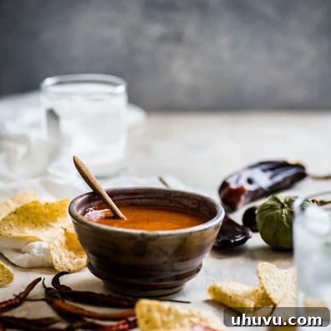 Delicious Toasted Red Chile Salsa, a perfect blend of spicy and flavorful notes.