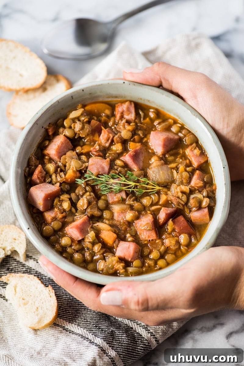 Fiery Lentil Comfort 6 Hands holding a warm bowl of spicy lentil soup, implying comfort.