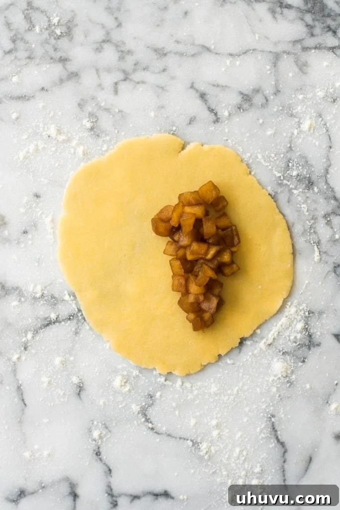 Sweet Apple Hand Pies 4 Baked Apple Empanadas are the perfect dessert for the fall and winter seasons! They're portable, delicious and super addicting.