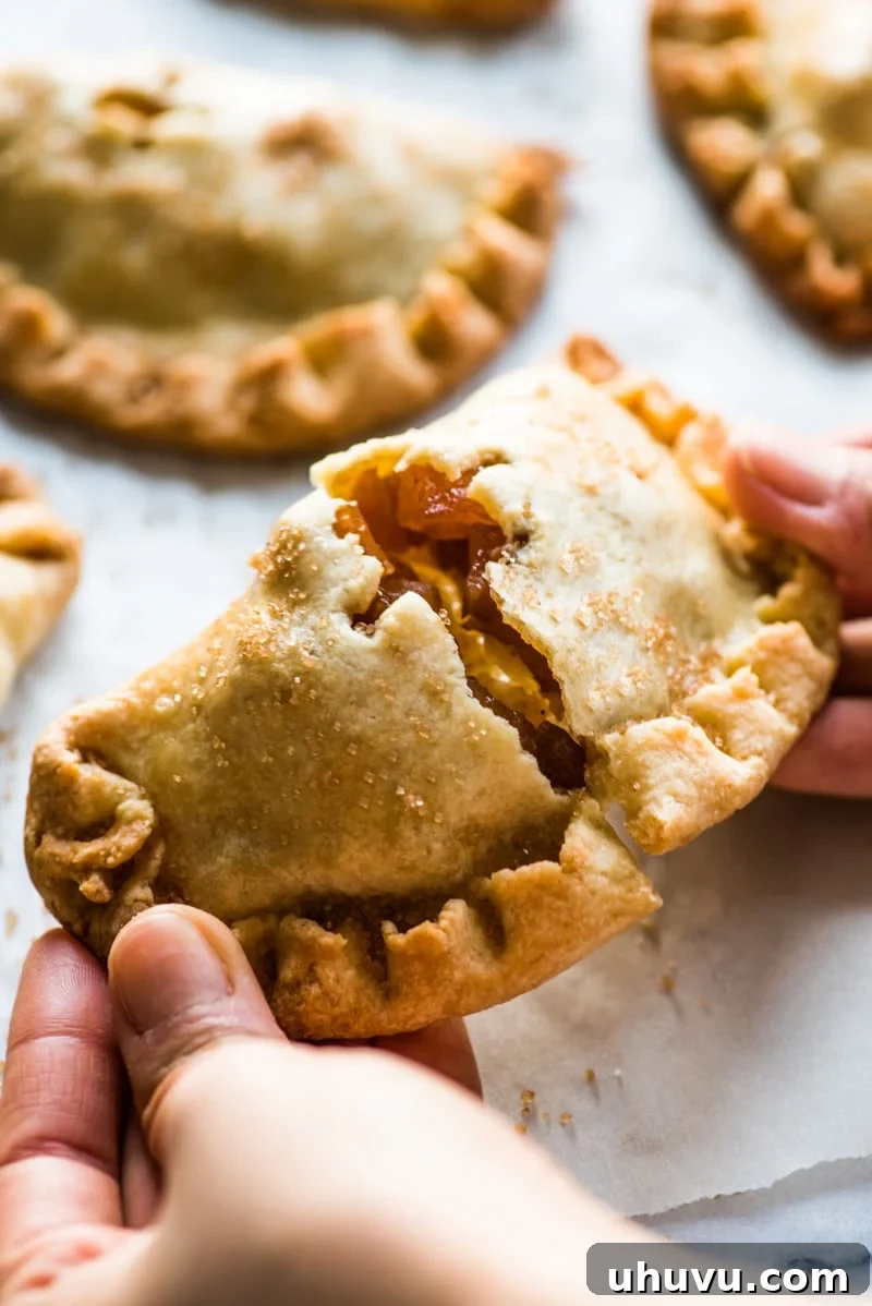 Sweet Apple Hand Pies 7 Baked Apple Empanadas are the perfect dessert for the fall and winter seasons! They're portable, delicious and super addicting.