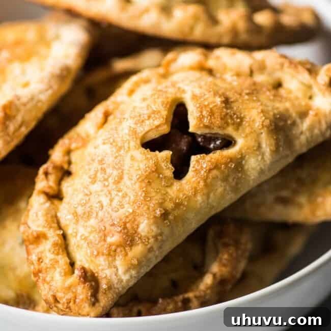 Sweet Apple Hand Pies 9 Baked Apple Empanadas are the perfect dessert for the fall and winter seasons! They're portable, delicious and super addicting.