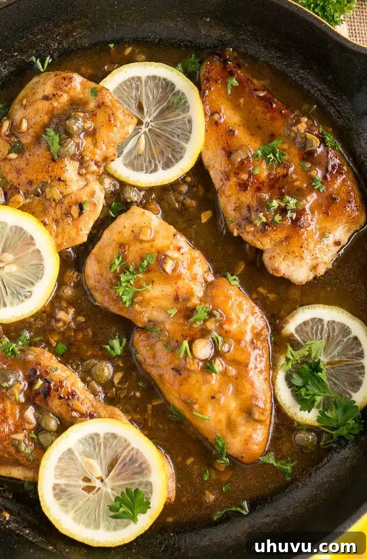 Lemon-Caper Chicken Delight 4 Creamy Chicken Piccata with parsley garnish