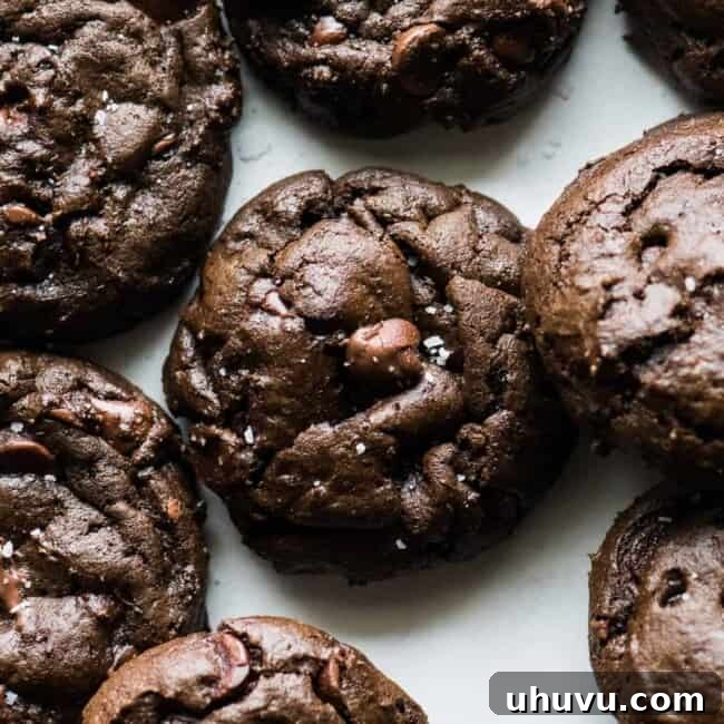 Mexican hot chocolate cookies made with chocolate chips.