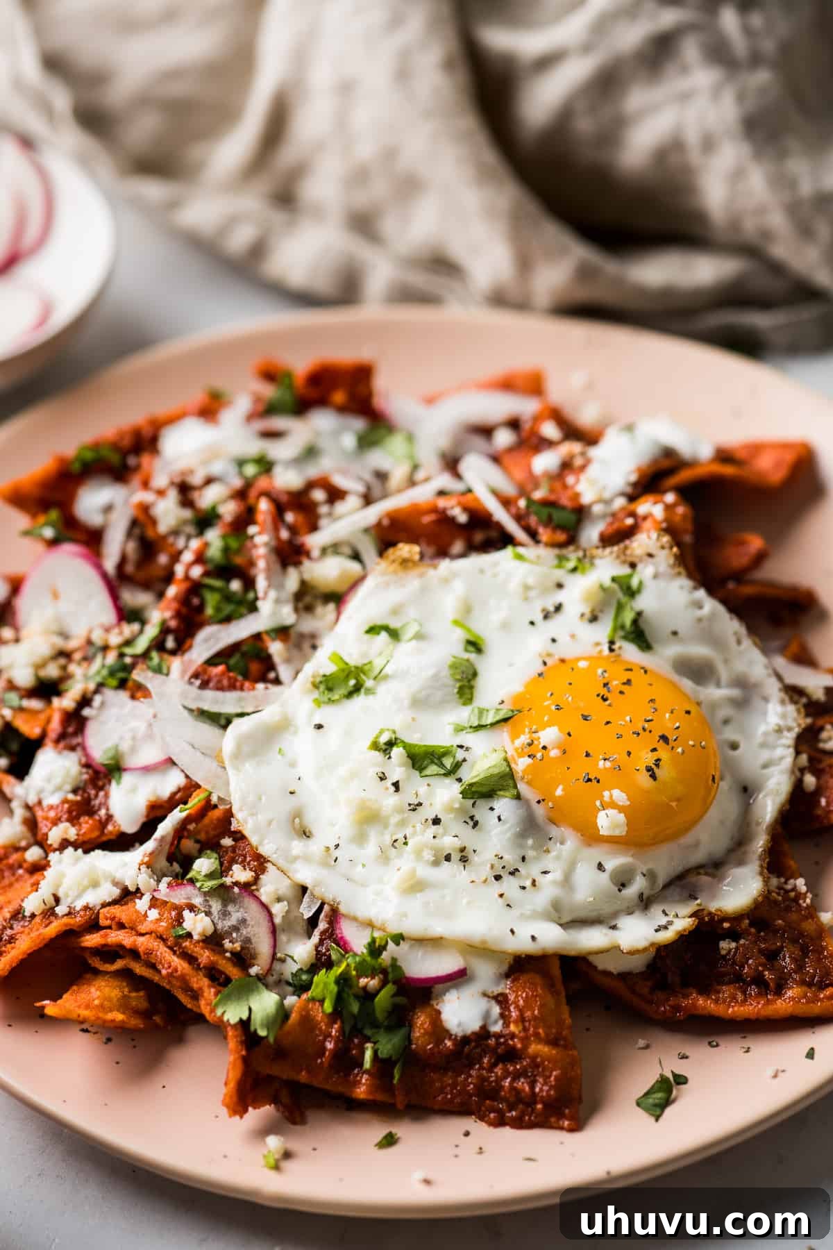 Sunrise Salsa Crunch 12 A plate of chilaquiles topped with a perfectly fried egg.