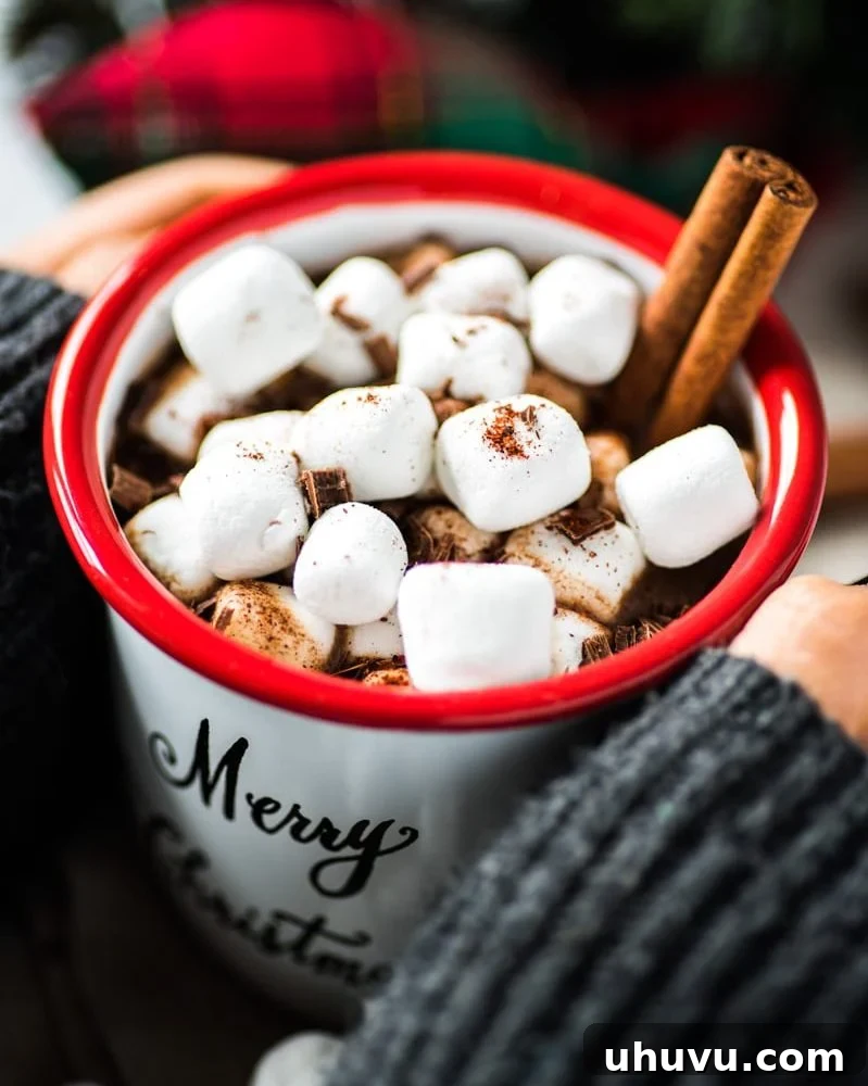 Aromatic Mexican Hot Chocolate 2 A steaming mug of Mexican Hot Chocolate, garnished with marshmallows and chocolate shavings, promises a delicious, warming experience.