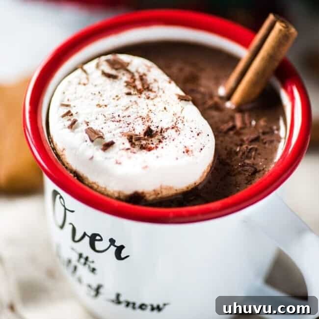 Aromatic Mexican Hot Chocolate 6 A close-up of a mug of Mexican Hot Chocolate, topped with a generous swirl of whipped cream and a sprinkle of cinnamon, presenting a rich and inviting beverage.