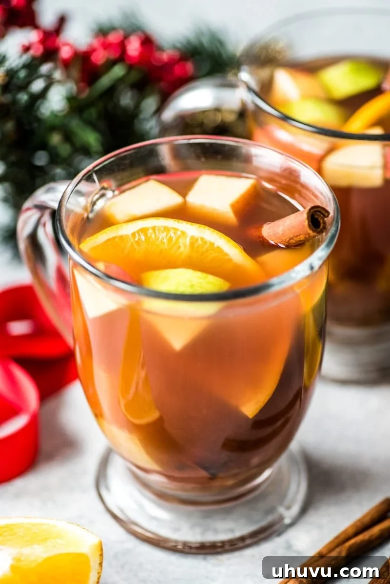 Fruity Mexican Celebration Brew 2 A festive mug of Mexican Ponche, brimming with colorful fruit pieces like apples, pears, oranges, and guavas, garnished with a cinnamon stick.