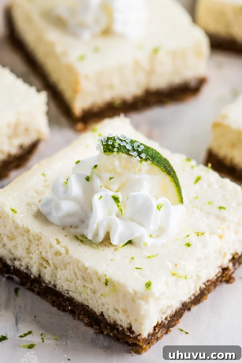 Margarita Cheesecake Bars close-up, showing creamy texture and golden crust