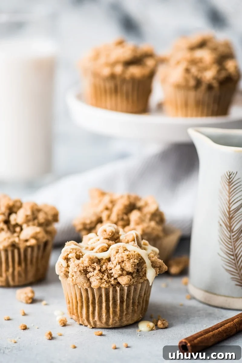 Moist cinnamon coffee cake muffins with Greek yogurt and crunchy streusel topping