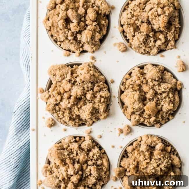 These cinnamon coffee cake muffins topped with a crunchy streusel topping are made with Greek yogurt for a healthier homemade treat!