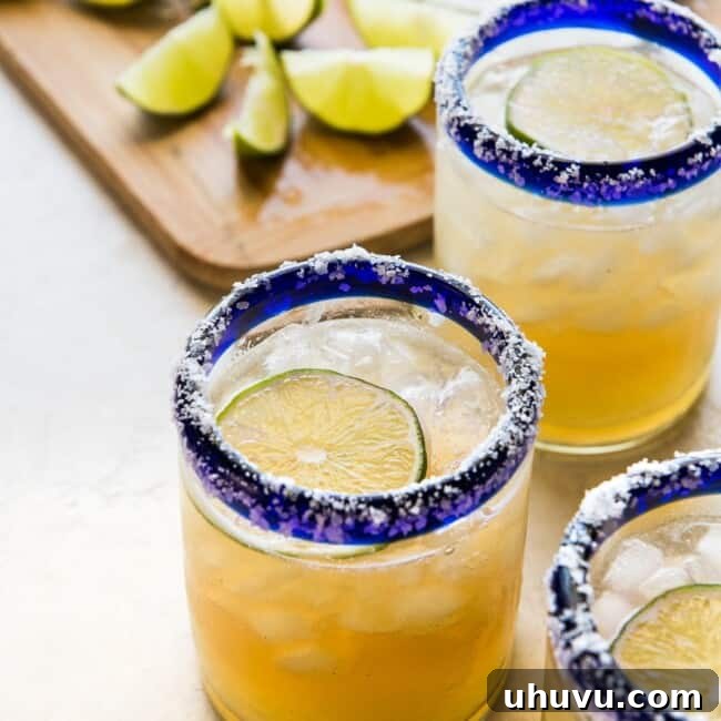 A classic margarita recipe in an iced glass garnished with fresh lime and a salted rim.