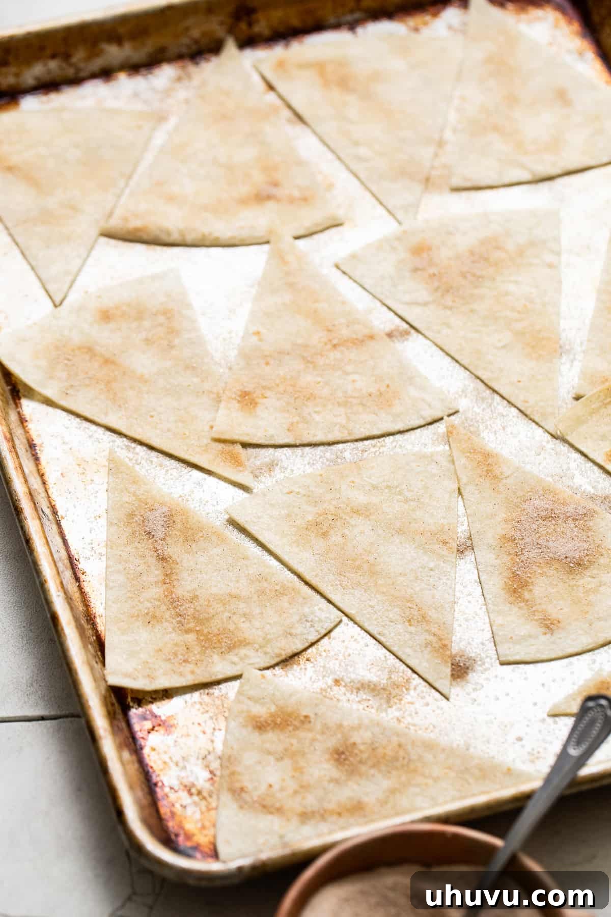 Vibrant Fruit Salsa 5 Flour tortillas sliced into triangles and sprinkled with cinnamon sugar.